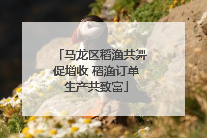 马龙区稻渔共舞促增收 稻渔订单生产共致富