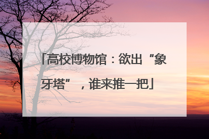 高校博物馆：欲出“象牙塔”，谁来推一把
