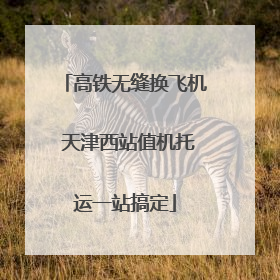 高铁无缝换飞机 天津西站值机托运一站搞定
