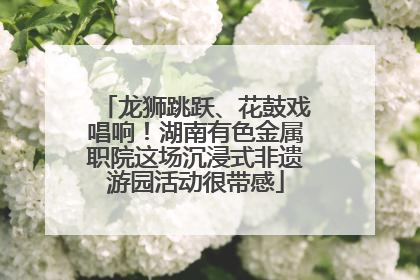 龙狮跳跃、花鼓戏唱响！湖南有色金属职院这场沉浸式非遗游园活动很带感