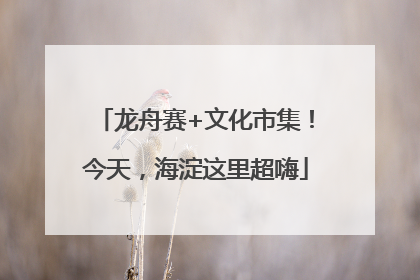 龙舟赛+文化市集！今天，海淀这里超嗨