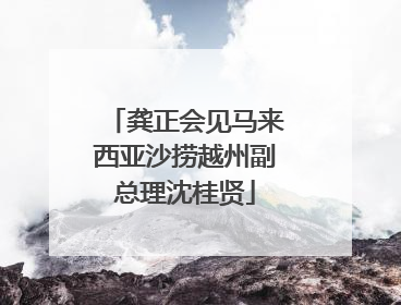 龚正会见马来西亚沙捞越州副总理沈桂贤