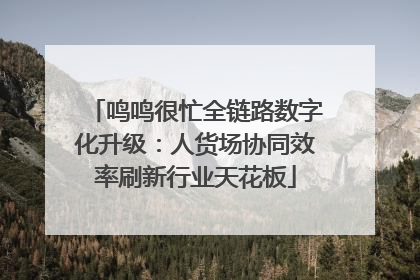 鸣鸣很忙全链路数字化升级：人货场协同效率刷新行业天花板