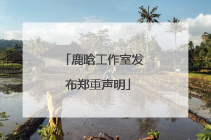 鹿晗工作室发布郑重声明