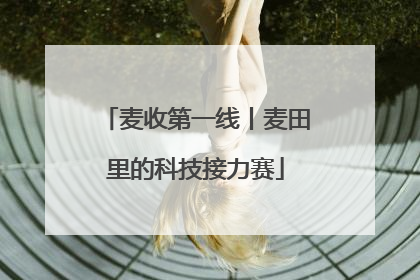 麦收第一线丨麦田里的科技接力赛