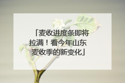 麦收进度条即将拉满！看今年山东麦收季的新变化