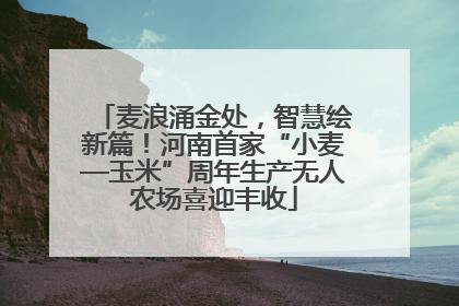 麦浪涌金处，智慧绘新篇！河南首家“小麦—玉米”周年生产无人农场喜迎丰收