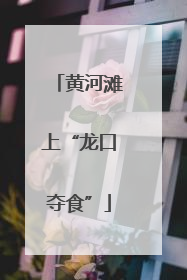 黄河滩上“龙口夺食”