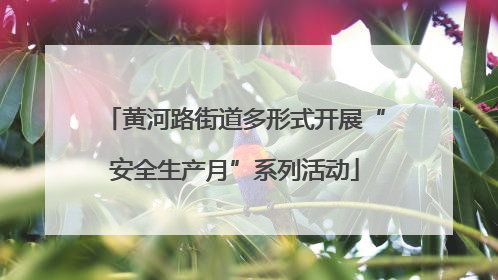 黄河路街道多形式开展“安全生产月”系列活动