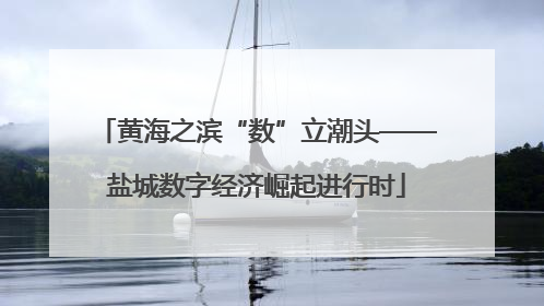 黄海之滨“数”立潮头——盐城数字经济崛起进行时