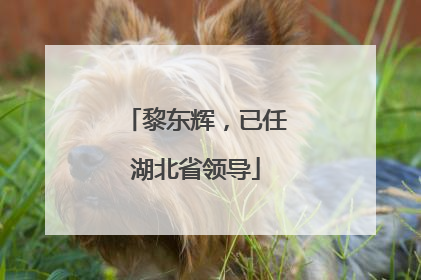 黎东辉，已任湖北省领导