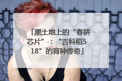 黑土地上的“春耕芯片”：“吉科稻518”的育种传奇