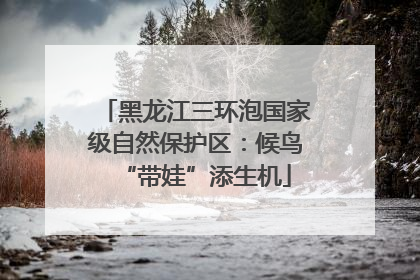 黑龙江三环泡国家级自然保护区：候鸟“带娃”添生机