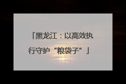 黑龙江：以高效执行守护“粮袋子”