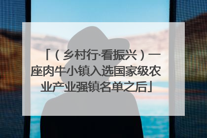 （乡村行·看振兴）一座肉牛小镇入选国家级农业产业强镇名单之后