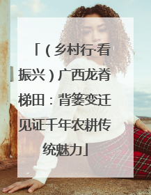 （乡村行·看振兴）广西龙脊梯田：背篓变迁见证千年农耕传统魅力