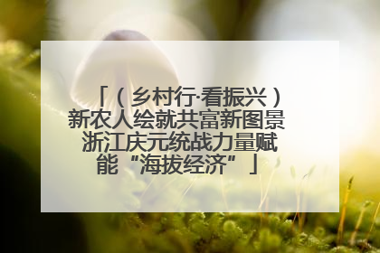 （乡村行·看振兴）新农人绘就共富新图景 浙江庆元统战力量赋能“海拔经济”
