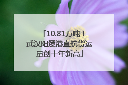 10.81万吨！武汉阳逻港直航货运量创十年新高