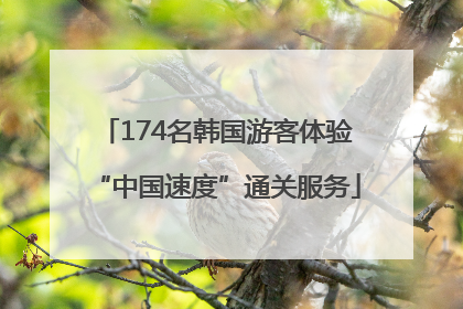 174名韩国游客体验“中国速度”通关服务
