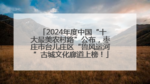 2024年度中国“十大最美农村路”公布，枣庄市台儿庄区“鲁风运河”古城文化廊道上榜！
