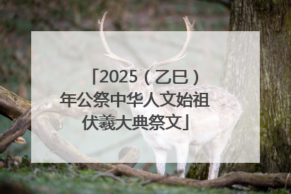 2025（乙巳）年公祭中华人文始祖伏羲大典祭文