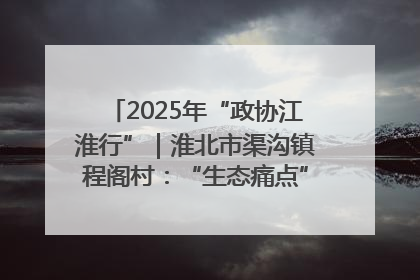2025年“政协江淮行”｜淮北市渠沟镇程阁村：“生态痛点”变“生态景观”