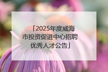2025年度威海市投资促进中心招聘优秀人才公告