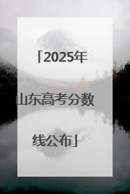 2025年山东高考分数线公布