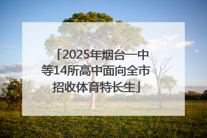 2025年烟台一中等14所高中面向全市招收体育特长生