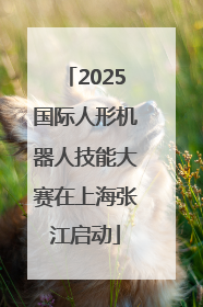 2025国际人形机器人技能大赛在上海张江启动