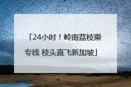 24小时！岭南荔枝乘专线 枝头直飞新加坡