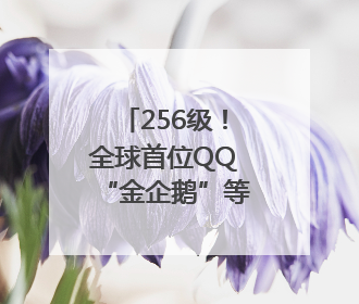 256级！全球首位QQ“金企鹅”等级用户诞生