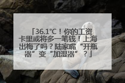 36.1℃！你的工资卡里或将多一笔钱！上海出梅了吗？陆家嘴“开瓶器”变“加湿器”？