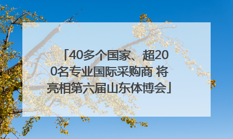 40多个国家、超200名专业国际采购商 将亮相第六届山东体博会