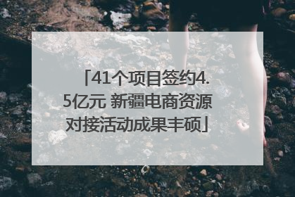 41个项目签约4.5亿元 新疆电商资源对接活动成果丰硕