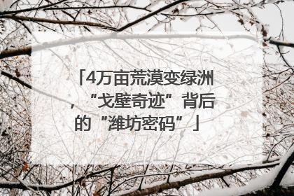 4万亩荒漠变绿洲，“戈壁奇迹”背后的“潍坊密码”