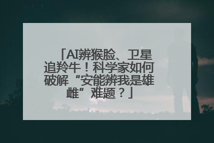 AI辨猴脸、卫星追羚牛！科学家如何破解“安能辨我是雄雌”难题？