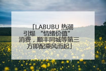 LABUBU 热潮引爆 “情绪价值” 消费，顺丰同城等第三方即配乘风而起