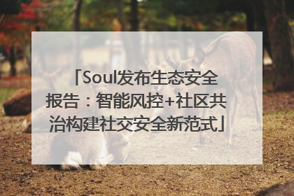 Soul发布生态安全报告：智能风控+社区共治构建社交安全新范式
