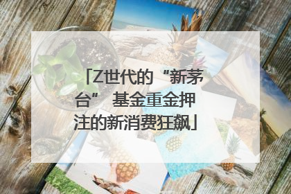 Z世代的“新茅台” 基金重金押注的新消费狂飙